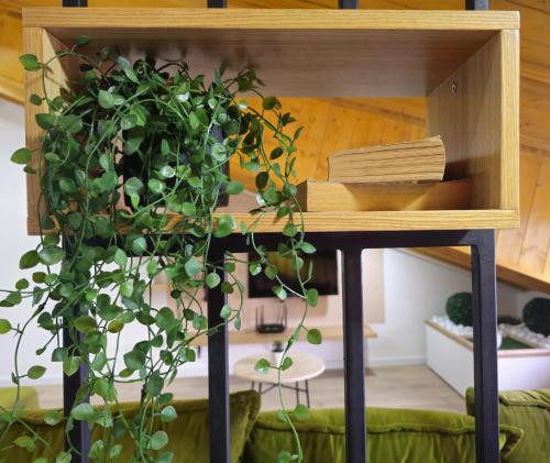 Lulebore Apartament 1, Tirana (photo 7)