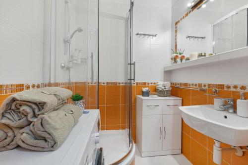 Klimatizovaný Self Check-In Apartmán Ružinov, Bratislava (fotografie 9)