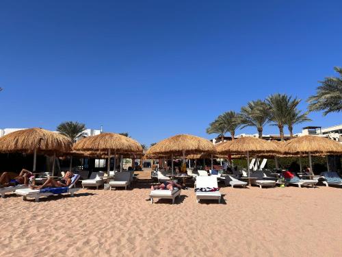 Cosy Studio on the First Floor with lovely Terrace and Personal Garden Area, Pool View and Free Beach Access in Sharm Hills Resort