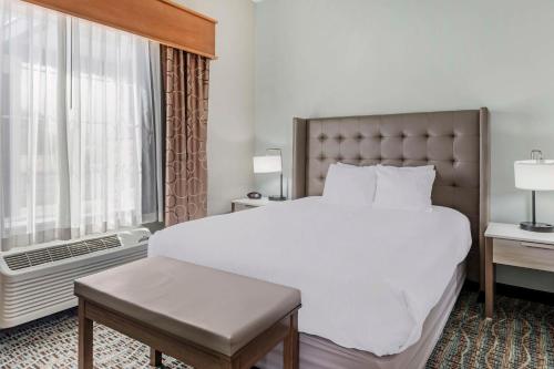 1 king bed, 1 queen bed