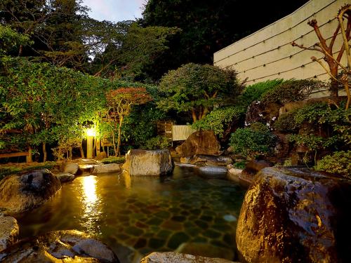 水と緑のやすらぎの宿　一の瀬, Mišima (fotografie 9)