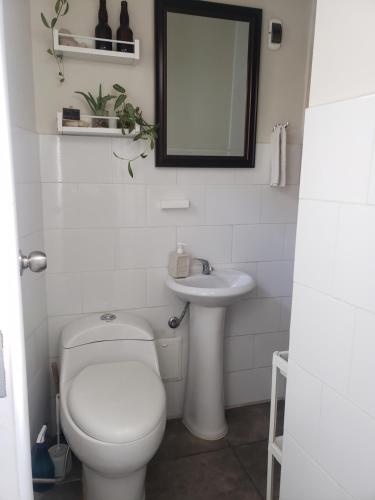 Central, cozy & self-contained petfriendly apartments in the heart of Miraflores, Lima (photo 8)