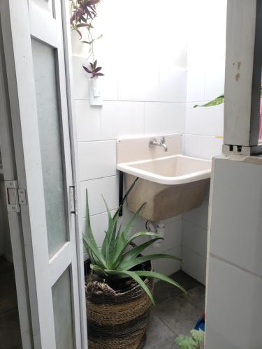 Central, cozy & self-contained petfriendly apartments in the heart of Miraflores, Lima (photo 10)