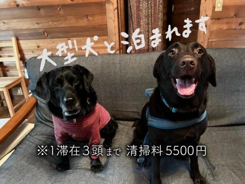 The Suite Forest FUKUOKA DAZAIFU -TOBARI- 1日1組限定の貸別荘 大型犬ペット可