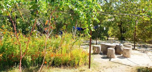 Kuldosh`s homestay in Majrum village in Forish