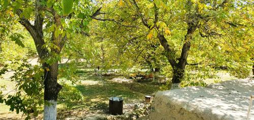 Kuldosh`s homestay in Majrum village in Forish