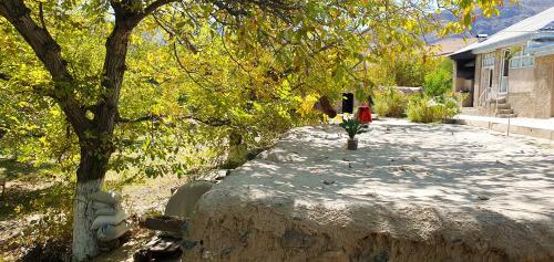 Kuldosh`s homestay in Majrum village in Forish