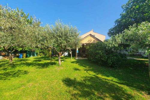 Apartments in Porec/Istrien 37747 - image 3