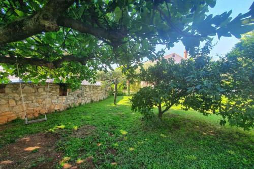 Apartments in Porec/Istrien 37747 - image 7
