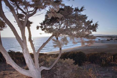 Junior paradise! Junior paradise!