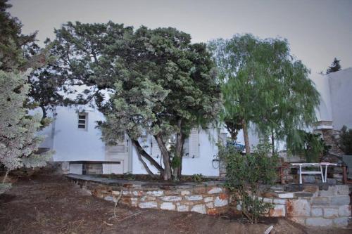 Junior paradise! Junior paradise!