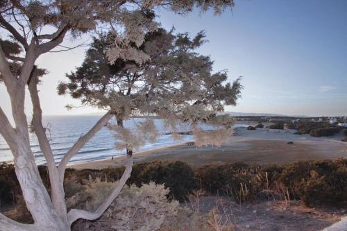 Junior paradise! Junior paradise!