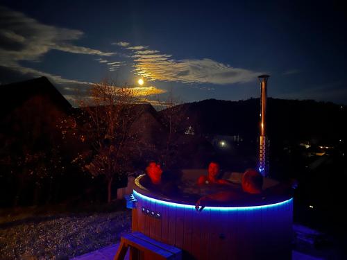 Bucovina Lodge Pension 2
