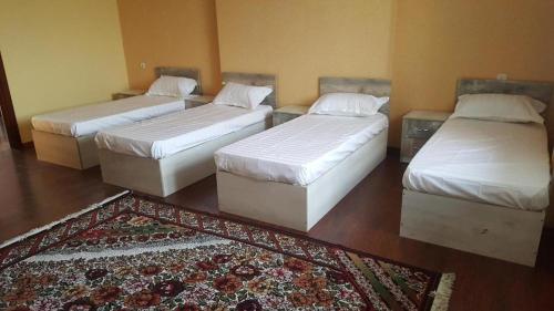 Pamir Hotel-Hostel