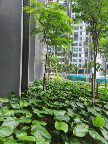 Cubic Botanical Entire Unit Parking/Pool KL Bangsar Cubic Botanical Entire Unit Parking/Pool KL Bangsar