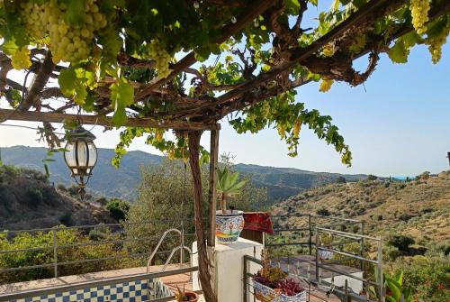 Private House in the Heart of Nature, Sea View