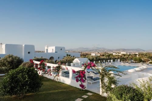 ทัศนียภาพภายนอกโรงแรม, DUNES - Semi Based Apartment with Indoor Garden - Part Of White Dunes Luxury Boutique Hotel in ซานตา มาเรีย