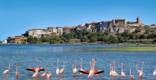 La Lagune Panoramic View - Accommodation - Bages