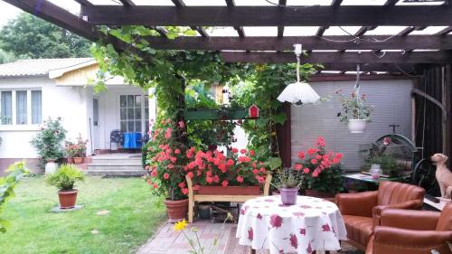 A szálláshely kívülről, Ferienhaus am See in Krakow am See