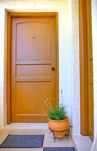 Houmis Apts & Studios, Agios Georgios Pagon (foto 2)