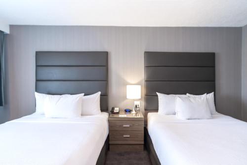 Standard Room, 2 Queen Beds image 2