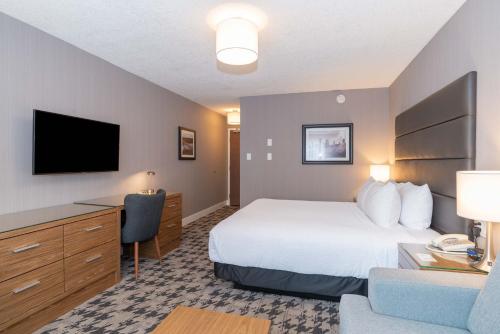 Standard Room, 1 King Bed, Sofa Bed image 2