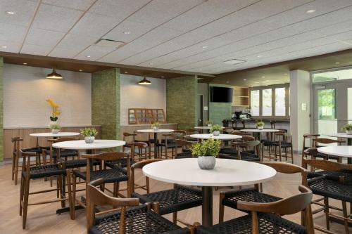 Fairfield by Marriott Luquillo Beach - image 13