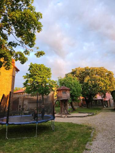 Livu Apartments in the Old town