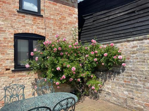 Pretty Cottage In Charming Peaceful Village