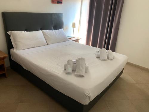 Suite Artis Barberini - image 14