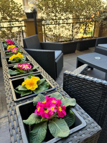 B&B MagloStation - image 11
