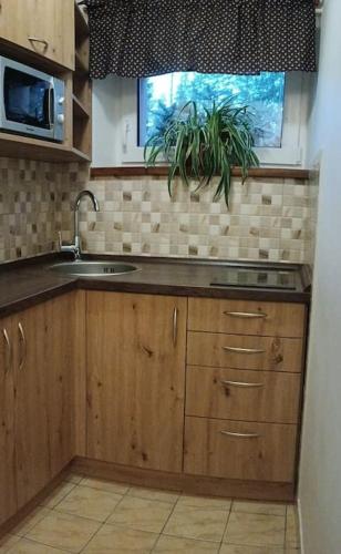 Konyha, Apartmá Adam (Apartma Adam) in Rokytnice nad Jizerou