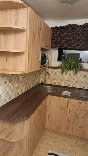 Konyha, Apartmá Adam (Apartma Adam) in Rokytnice nad Jizerou