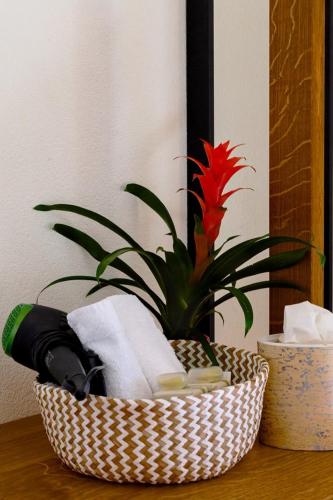 Boutique-Hotel Antica Posta - image 2