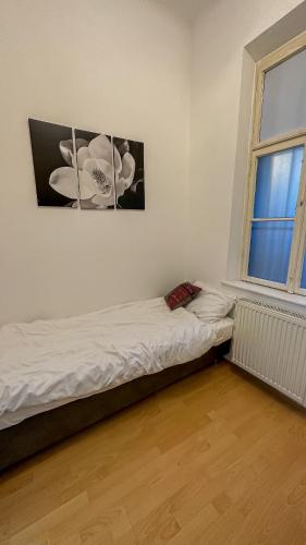 Garden-Eden Apartment, Viena (foto 7)