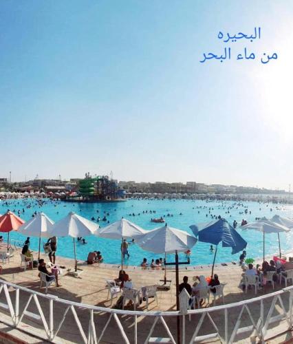 شالية قرية اللوتس, El Alamein (fotografie 7)
