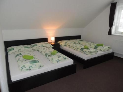 Apartmánový dům U Lucie (Apartmanovy dum U Lucie) in สเกิร์ดโลวิเซ