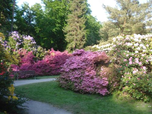 Ferienobjekt Graal Müritz A2 in Graal-Müritz, Deutschland