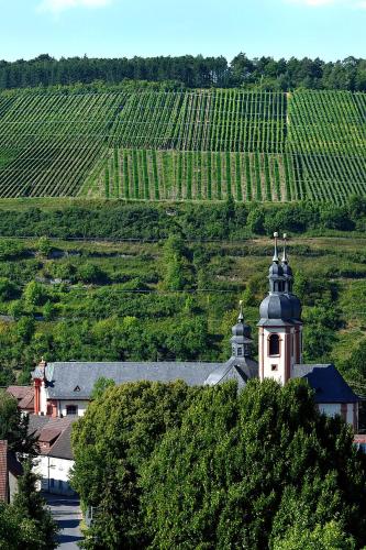 Kilátás, Ferienwohnungen Weinbergglück (Ferienwohnungen Weinberggluck) in Lauda-Königshofen