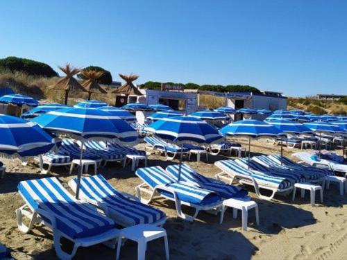 Studio cabine climatisé, proche plage, parfait pour 4 pers. - FR-1-307-123 (Studio cabine climatise, proche plage, parfait pour 4 pers. - FR-1-307-123) in Le Grau-du-Roi