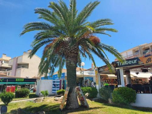 Studio cabine climatisé, proche plage, parfait pour 4 pers. - FR-1-307-123 (Studio cabine climatise, proche plage, parfait pour 4 pers. - FR-1-307-123) in Le Grau-du-Roi