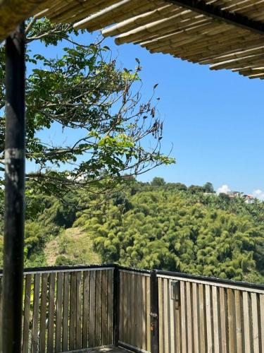 Surrounding environment, La Martina Palestina in La Manuelita