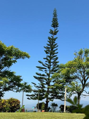 Surrounding environment, La Martina Palestina in La Manuelita