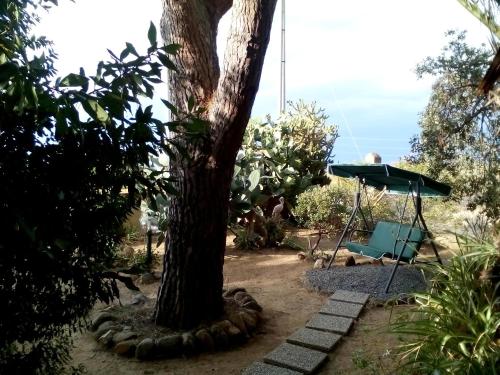 B&B Il Vigneto - image 3