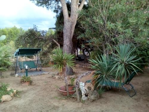 B&B Il Vigneto 