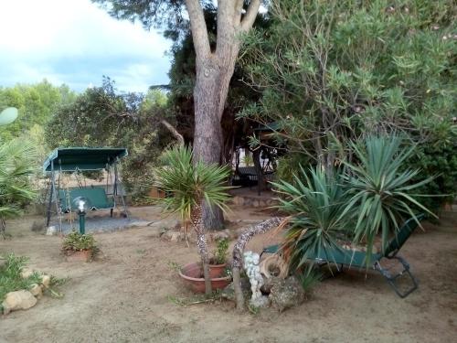  B&B Il Vigneto, Pension in Capoterra