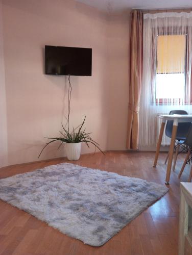 Zen Apartman Booking.com提供写真