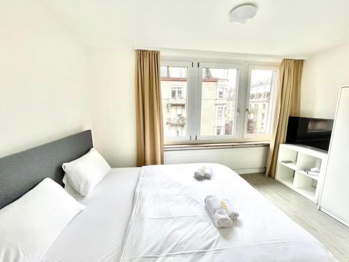 Urban Oasis with Queen Bed and View BE-18, Zürich (Foto 3)
