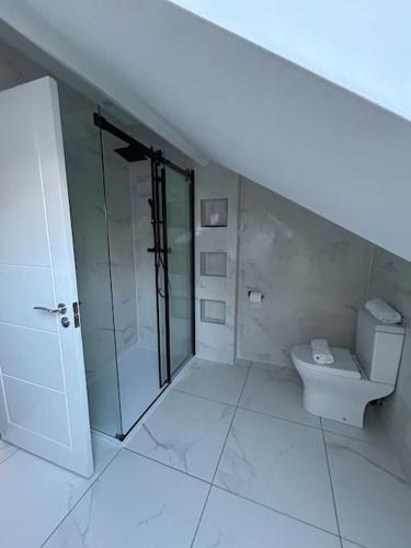 Large 4 bed, walking distance to centre - sleeps 8, Cardiff (photo 9)