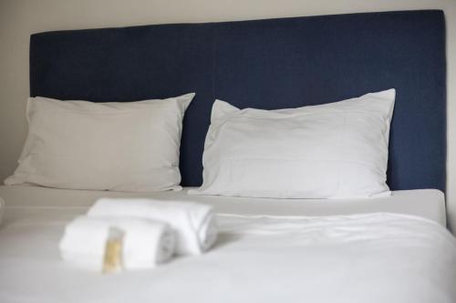 Urban Oasis with Queen Bed and View BE-19, Zürich (Foto 3)